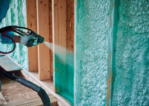 Polyurethane Paint
